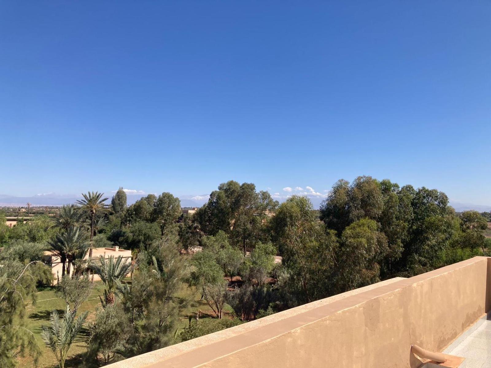 Family Palms Luxe Villa Marrakech With Private Pool Marrakesh Camera foto